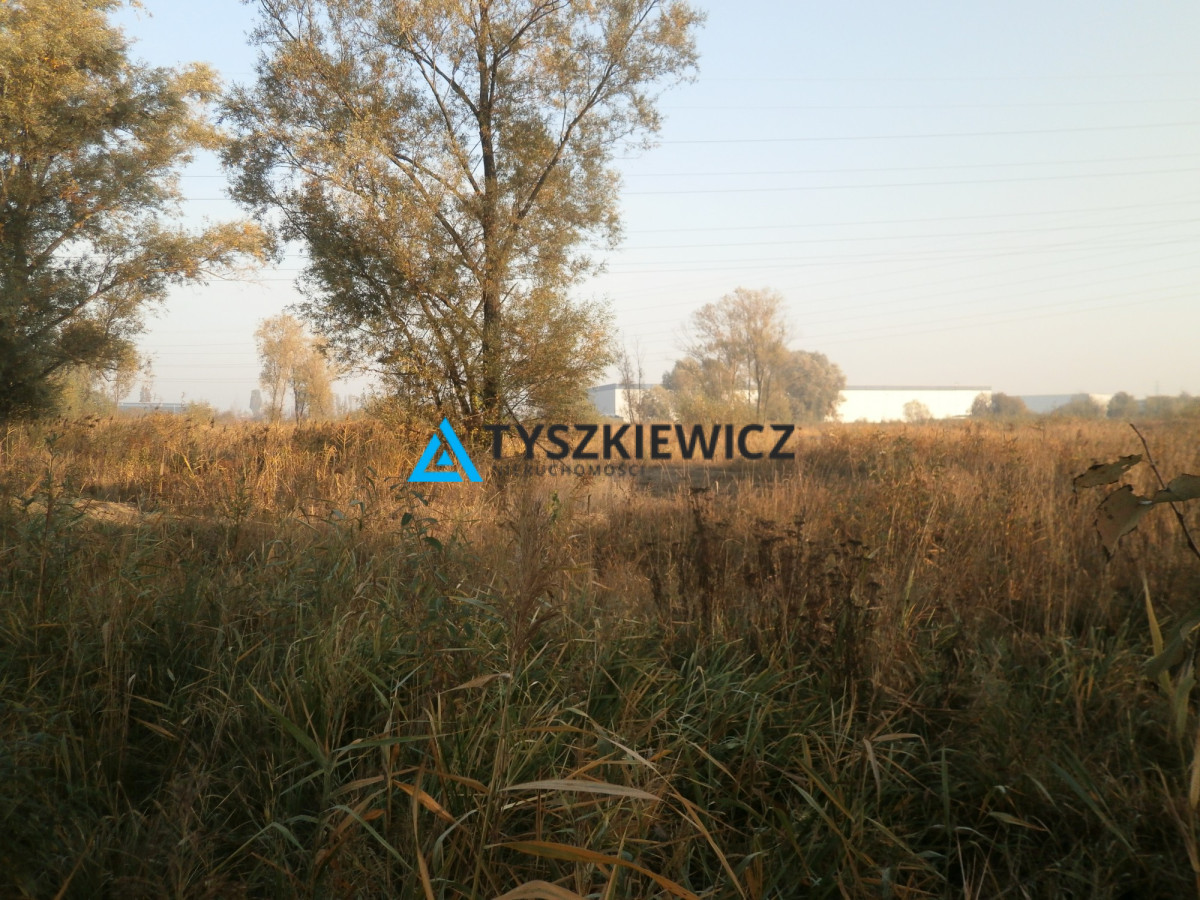 Duża działka rolna na Rudnikach Gdańsk Rudniki