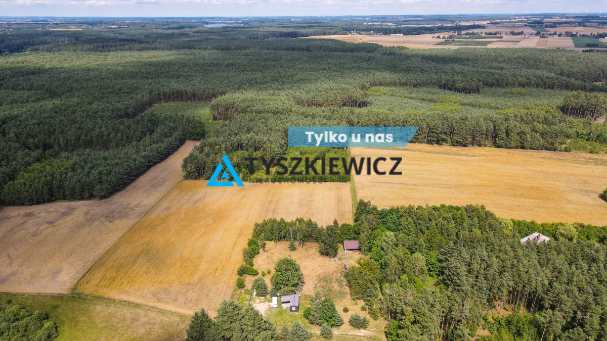 Działka w sercu lasu - cisza i spokój Osowo Leśne 